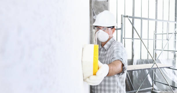  , USA Mold Removal Pros